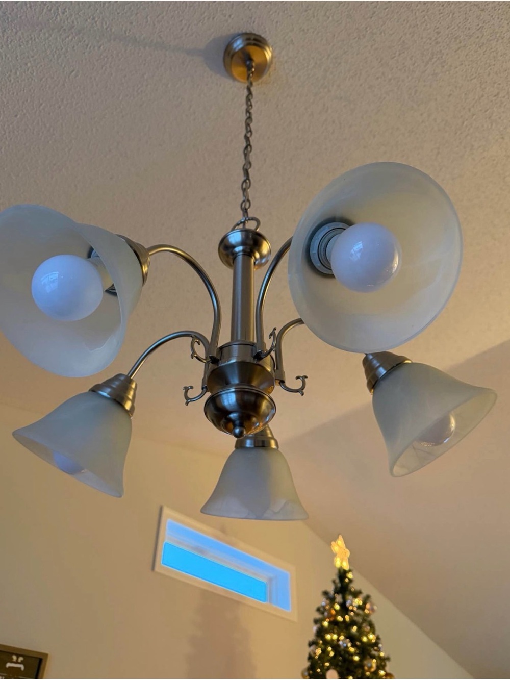 Brushed Nickel 5-Light Chandelier with Frosted Glass Shades